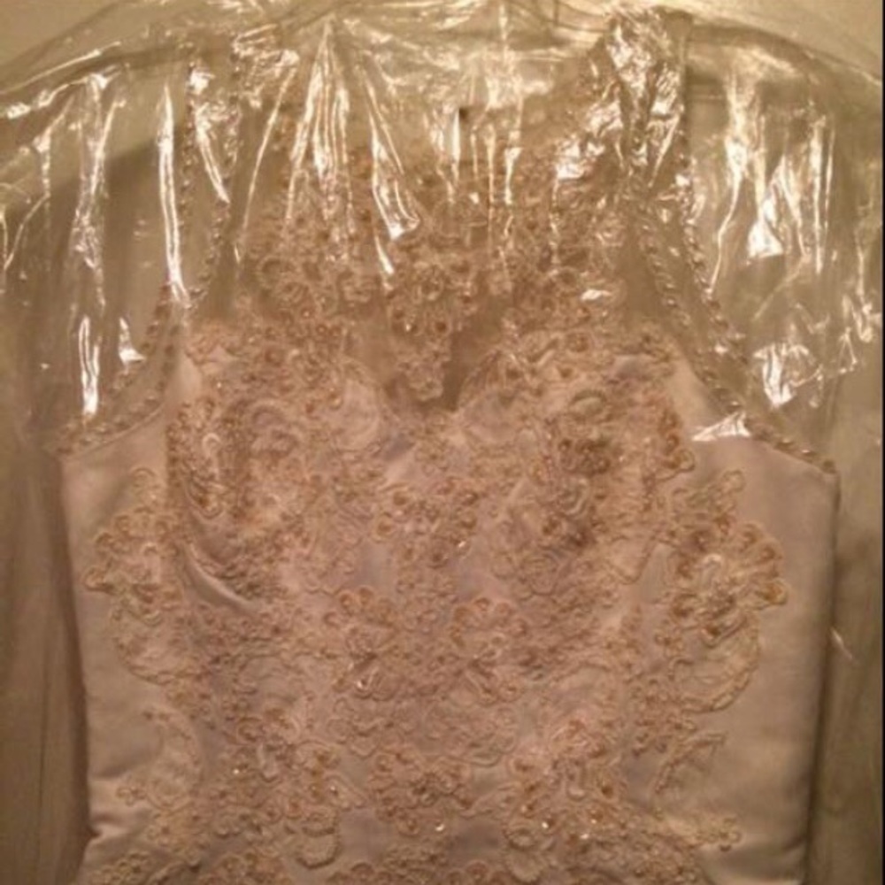 Beautifully Detailed Wedding Dress